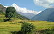 Annapurna Sanctuary Trek